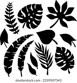 Set of Palm Leaf Silhouettes. Exotic Leaves Background. Hand Drawn Black and White illustration.