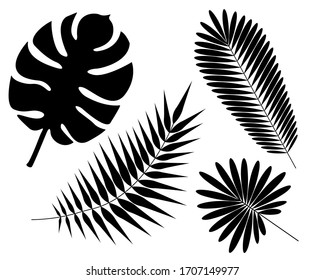 Set of palm leaf silhouettes isolated on white background