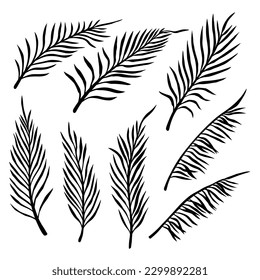 Set of palm leaves. Design element for decorations. Vector illustration
