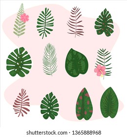 Set of palm leaves and fern. Tropical banner