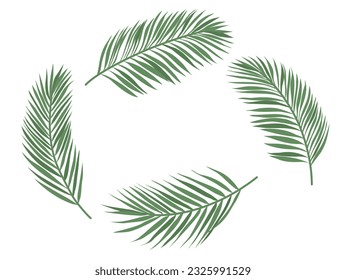 Set of   Palm Leaves. Floral Background. Vector illustration