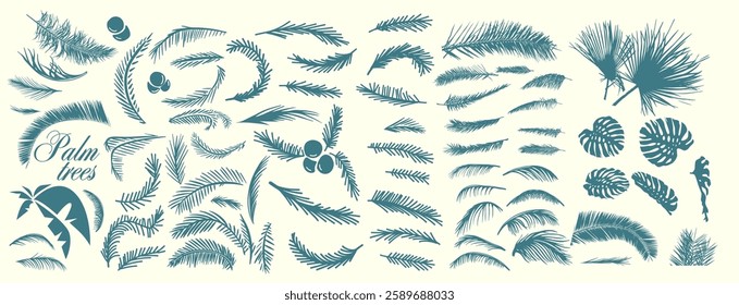 Set of palm leaves. Hand drawing. Not AI, Vector illustration.