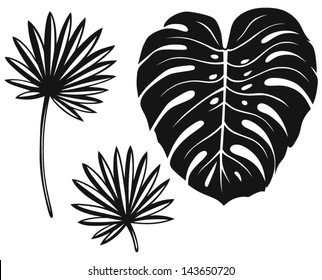 Set Palm Leaves Isolated On White Stock Vector (Royalty Free) 143650720 ...