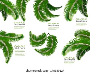 Set of palm leaves on white background. Vector illustration. 