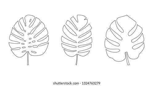 Set of palm leaves outline isolated on the white background. Vector EPS10