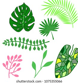 Set of palm leaves silhouettes isolated on a white background.