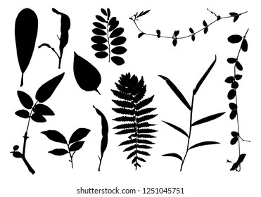 Set of palm leaves silhouettes isolated on white background. Vector EPS10