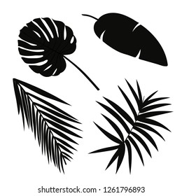 Set of palm leaves silhouettes isolated on white background. Vector EPS10