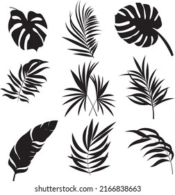 Set of palm leaves silhouettes isolated on white background. EPS10 vector