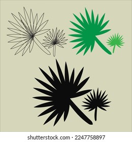 Set of palm leaves silhouettes isolated , tropical palm leaves set,  realistic tropical jungle palm leaves