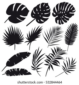 Set of palm leaves silhouettes isolated on white background. Vector EPS10  - Shutterstock ID 532844464