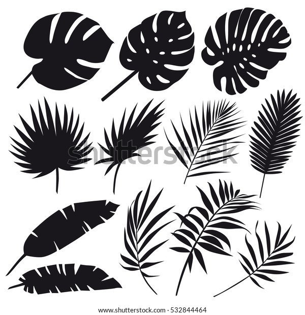 Set of palm leaves silhouettes isolated on white\
background. Vector EPS10 