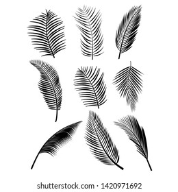 Set of palm leaves. Vector illustration. - illustration