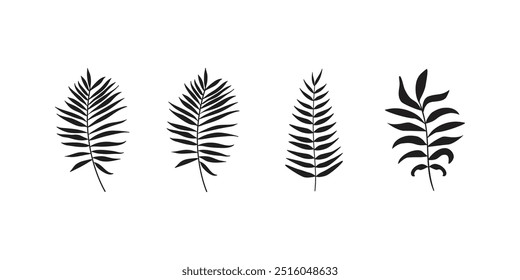 Set of palm leaves. Vector illustration of a palm leaves