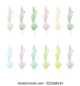 Set of palm leaves in the vertical branch beautiful different color