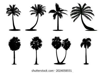 Set of palm silhouette vector illustration on white background.