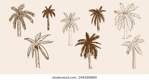 Set of palm, sketch, doodle style hand drawn