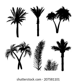 set palm traced. Vector