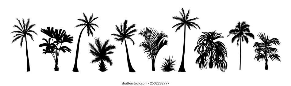 Set of palm tree black silhouettes. Tropical exotic plant icons. Vector monochrome illustrations isolated on white background.