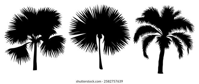 Set of palm tree black silhouettes. Tropical plants icons, symbols. Hand drawn vector illustrations isolated on white background