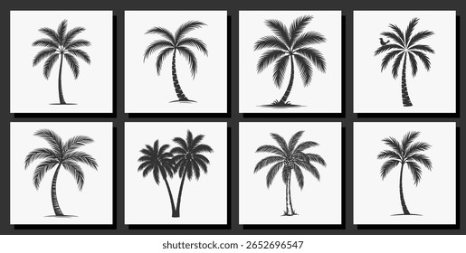 Conjunto de uma palmeira é desenhado em conceito preto e branco