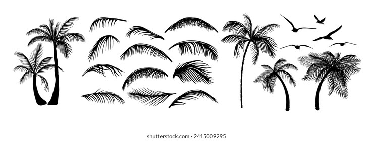 Set of palm tree elements. hand drawing. Not AI. Vector illustration svg