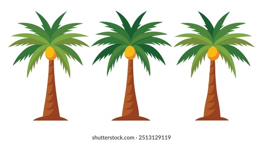 set of palm tree with palm fruit vector illustration art