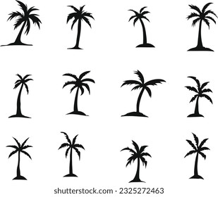 set palm tree icon. the palm icons