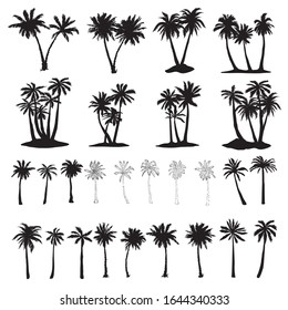 Set of palm tree icons black silhouettes isolated tropical palm trees .