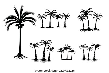 Set of palm tree icons on white background. Coconut tree silhouette vector