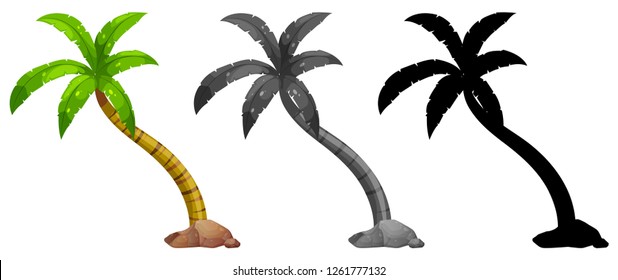 Conjunto de ilustraciones de palmeras