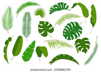 Conjunto de folhas de palmeira em desenho animado plano. Uma coleção de folhas tropicais em uma rica cor verde, destacando diversas formas e tamanhos perfeitos para conceitos inspirados na natureza. Ilustração vetorial.