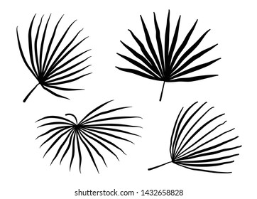 Set of palm tree leaves silhouettes in different styles. vector illustration.