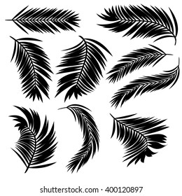 Conjunto de siluetas de hojas de palmera de diferentes estilos.