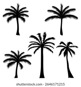 set of palm tree silhouette on white background. palm trees collection. set silhouette on white background vector.eps