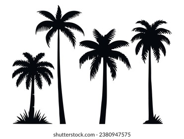 Set of palm tree silhouette. Tropical black jungle plants. Vector on white background