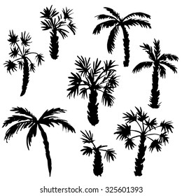 set of palm tree silhouettes, exotic trees, hand drawn vector design elements