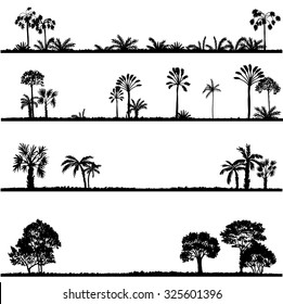 set of palm tree silhouettes, exotic trees, hand drawn vector design elements