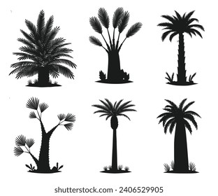 Set of palm tree silhouettes isolated on white background. Vector illustration.