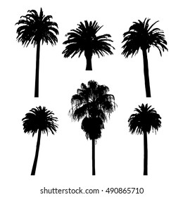 Set of palm tree silhouettes on white background, vector illustration