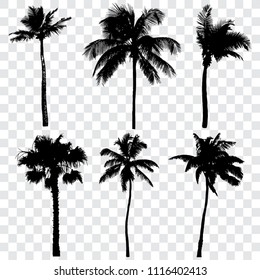 Set of palm tree silhouettes, vector illustration.