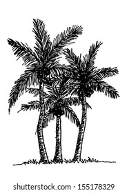 set of palm tree Tropical palm trees, black silhouettes background