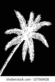 set of palm tree Tropical palm trees, black silhouettes background 