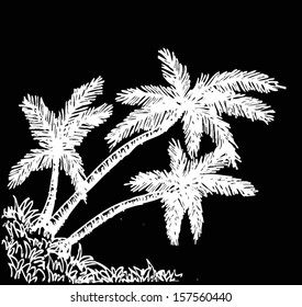 set of palm tree Tropical palm trees, black silhouettes background 