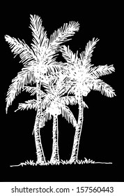 set of palm tree Tropical palm trees, black silhouettes background 