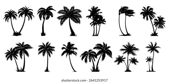 Set of palm tree vector illustration