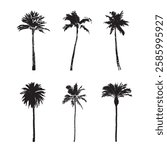 Set of palm trees in black and white silhouette icon vector drawing