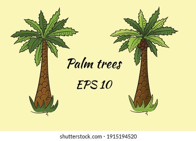 Set of palm trees in cartoon style. Two palms, one with coconuts, the other without.