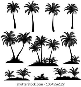 Set Palm Trees, Exotic Landscapes, Tropical Plants and Grass Black Silhouettes Isolated on White Background. Vector