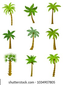 Set of palm trees isolated on white background, vector illustration